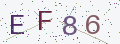 验证码