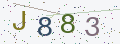 验证码