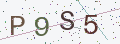 验证码