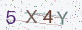 验证码