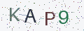 验证码